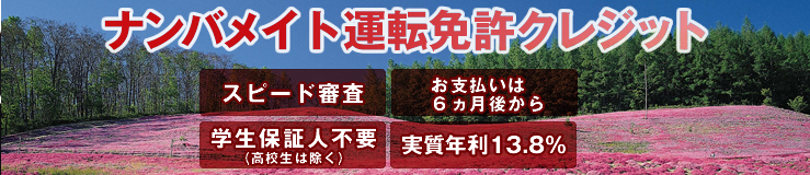 ナンバメイトの運転免許クレジット