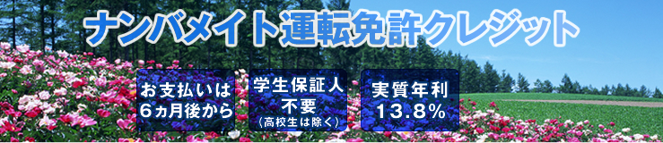 ナンバメイトの運転免許クレジット