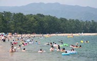 ���켫ư�ֶ�����