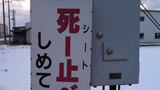 思わず納得