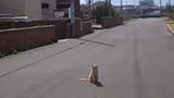 染まる友情