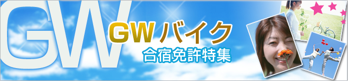 2012ǯ������ǥ󥦥�������ɥХ����ȵ����