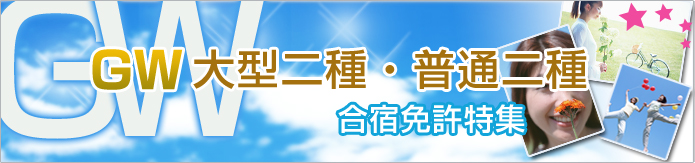 2010ǯ������ǥ󥦥���������緿����������ȵ����