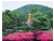 紫式部公園