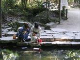 八重垣神社『鏡の池』